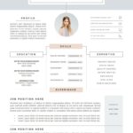 Resume Templates Ideas