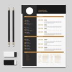 Resume Templates Indesign