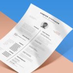 Resume Templates Indesign Free