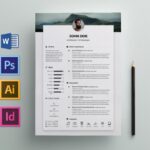 Resume Templates Indesign Free