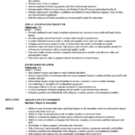 Resume Templates Journalism