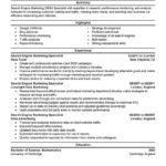 Resume Templates Multiple Jobs Same Company