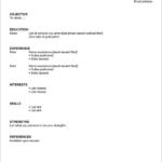 Resume Templates No Job Experience