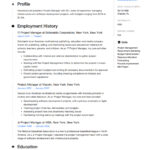 Resume Templates Project Manager