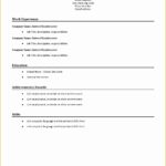 Resume Templates Simple