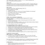 Resume Templates Social Work