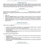 Resume Templates Social Work