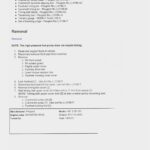 Resume Templates Student