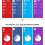 6 Month Report Template