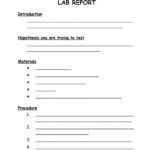 Grade 6 Lab Report Template
