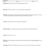 Grade 6 Lab Report Template