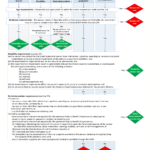 Ndis 9 Month Report Template