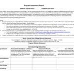 Report Assessment Template