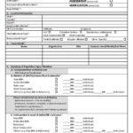 Report Assessment Template