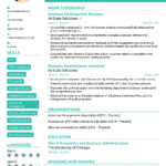 Resume Template Novoresume