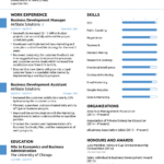 Resume Template Novoresume