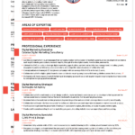 Resume Template Novoresume