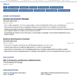 Resume Template Novoresume