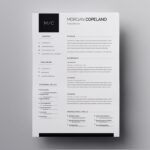 Resume Templates Mac