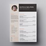 Resume Templates Mac