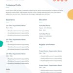 Resume Templates Marketing