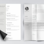 Resume Templates Minimalist