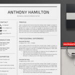 Resume Templates Minimalist