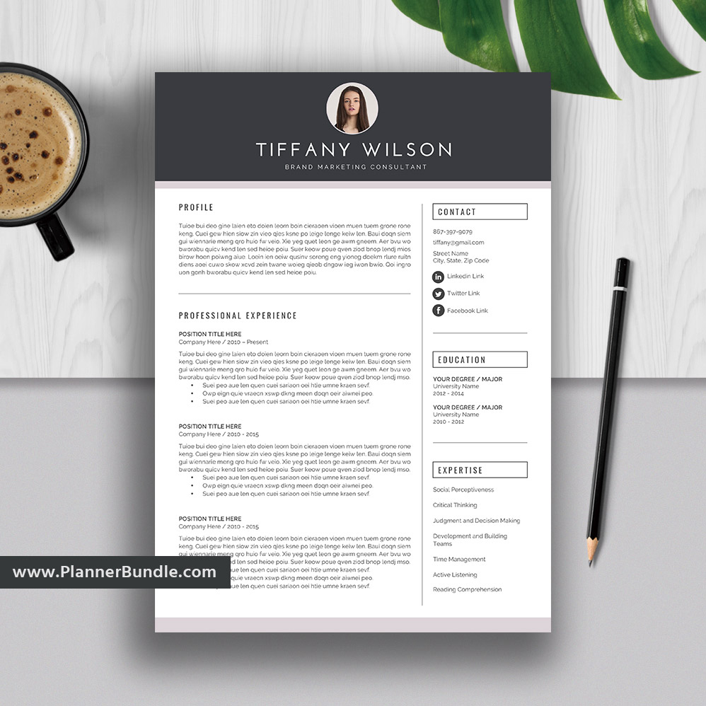 Resume Templates Modern