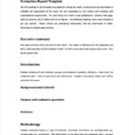 Report Template With Executive Summary