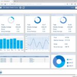 Report Template With Graphs