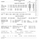 X Ray Report Template Chiropractic