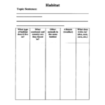 Animal Report Template 3rd Grade Pdf