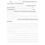 Animal Report Template 3rd Grade Pdf