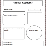 Animal Report Template 4th Grade