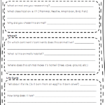 Animal Report Template 5th Grade