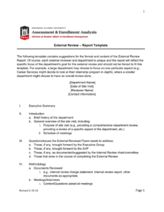 Model Review Report Report Review Template (5) - PROFESSIONAL TEMPLATES | PROFESSIONAL ...