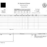 Grade 9 Report Card Template